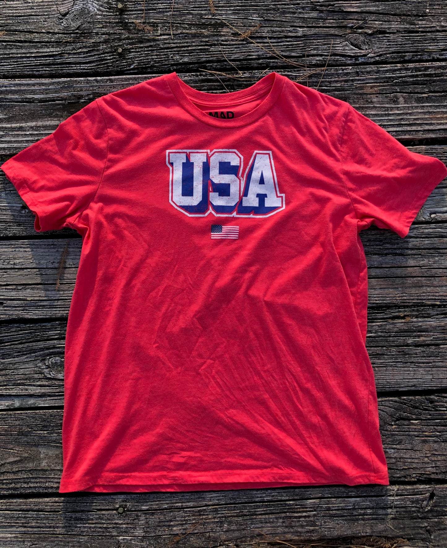 USA Graphic Tee